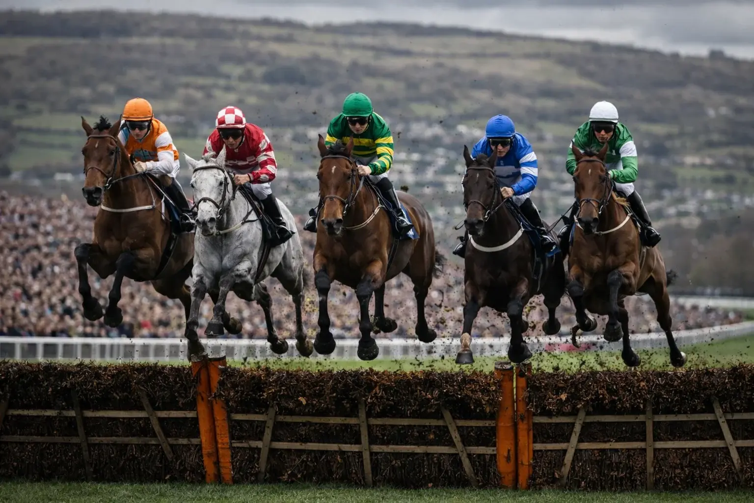Horses clearing a hurdle at the Cheltenham Festival with spectators lining the course